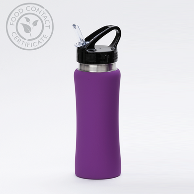 Пляшка для води COLORISSIMO 600 мл, фіолетова HB01-PR-RG фото