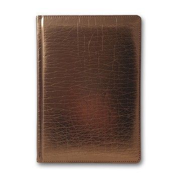 Ежедневник недатированный BRISK OFFICE ЗВ-70 FLASH А5 (14,2х20,3), линия, кремовая бумага, бронза  ЗВ-70 FLASH бронза фото