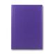 Ежедневник 2024 датированный GOSPEL ЗВ-55 Стандарт А5 (14,2х20,3) BRISK OFFICE фиолетовый ЗВ-55-Go-l-0211 фото