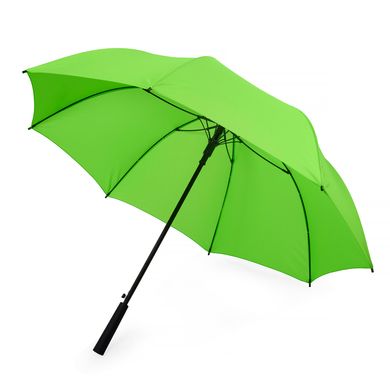 Зонт-трость Odessa, зеленый 5003-60 фото