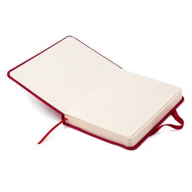 Книга записна А6 Axent Partner 8301, 96 аркушів, клітинка, тверда обкладинка, червона 8301-03-A фото